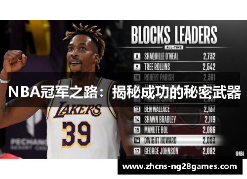NBA冠军之路：揭秘成功的秘密武器