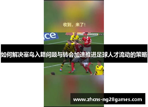 如何解决塞鸟入籍问题与转会加速推进足球人才流动的策略