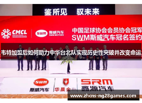 韦特加盟后如何助力中华台北队实现历史性突破并改变命运