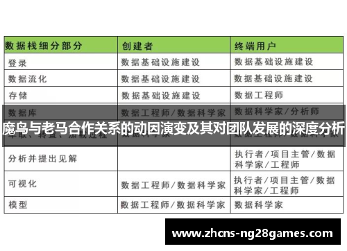 魔鸟与老马合作关系的动因演变及其对团队发展的深度分析